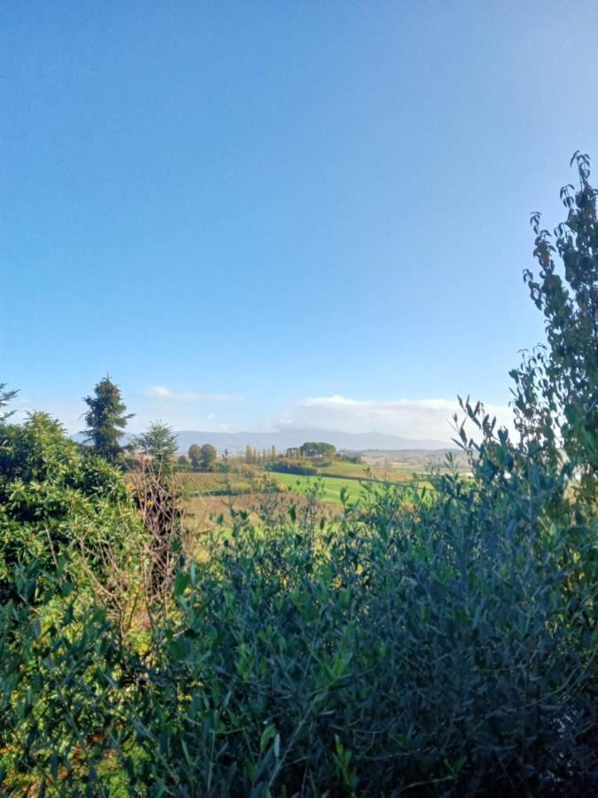 Agriturismo La Pineta フチェッキオ エクステリア 写真