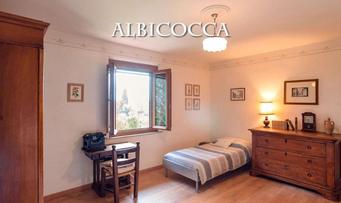 Agriturismo La Pineta フチェッキオ エクステリア 写真