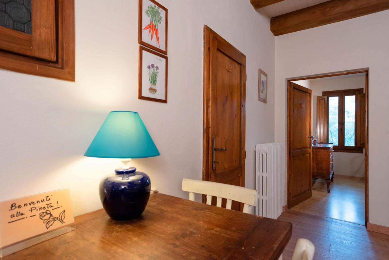 Agriturismo La Pineta フチェッキオ エクステリア 写真