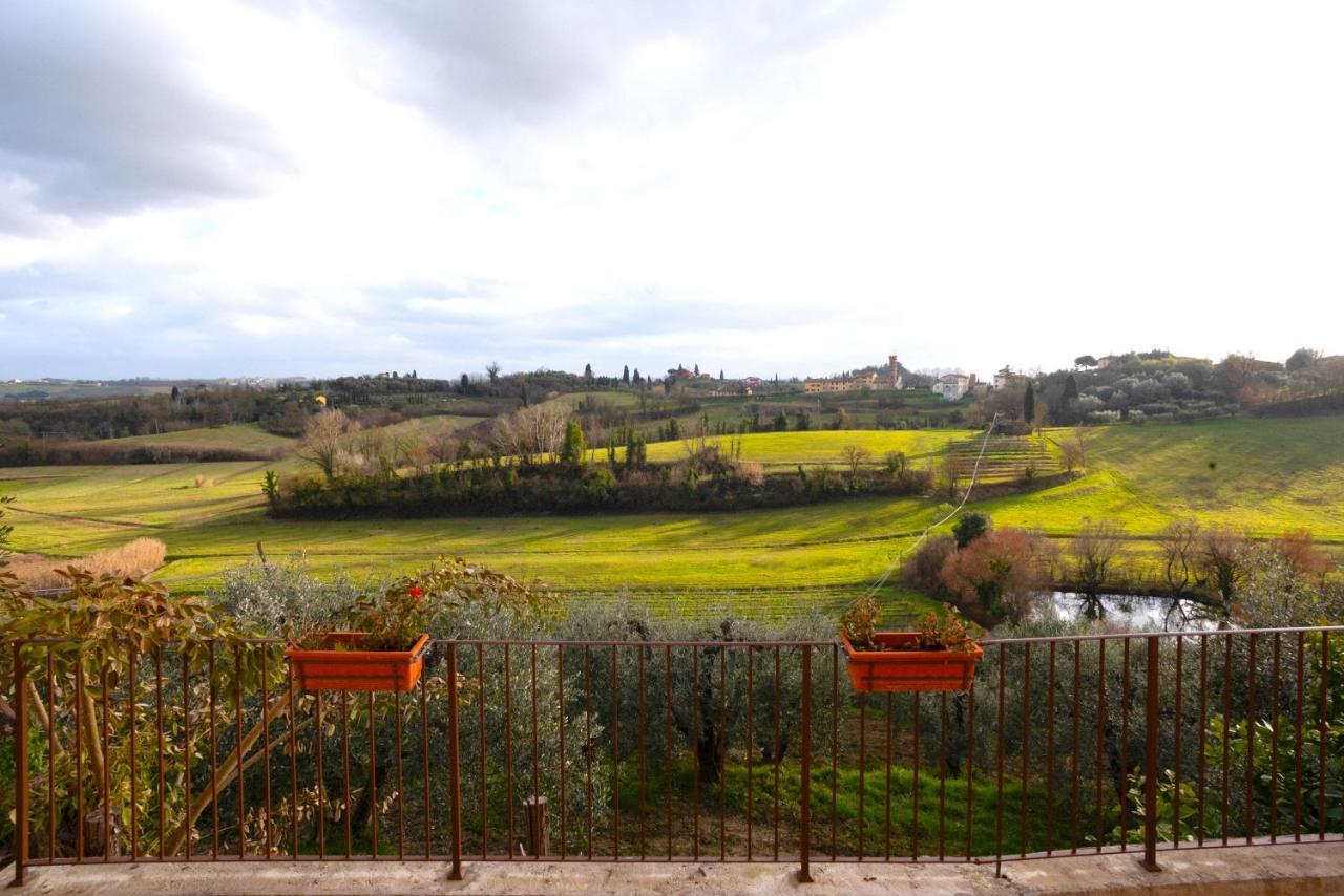Agriturismo La Pineta フチェッキオ エクステリア 写真